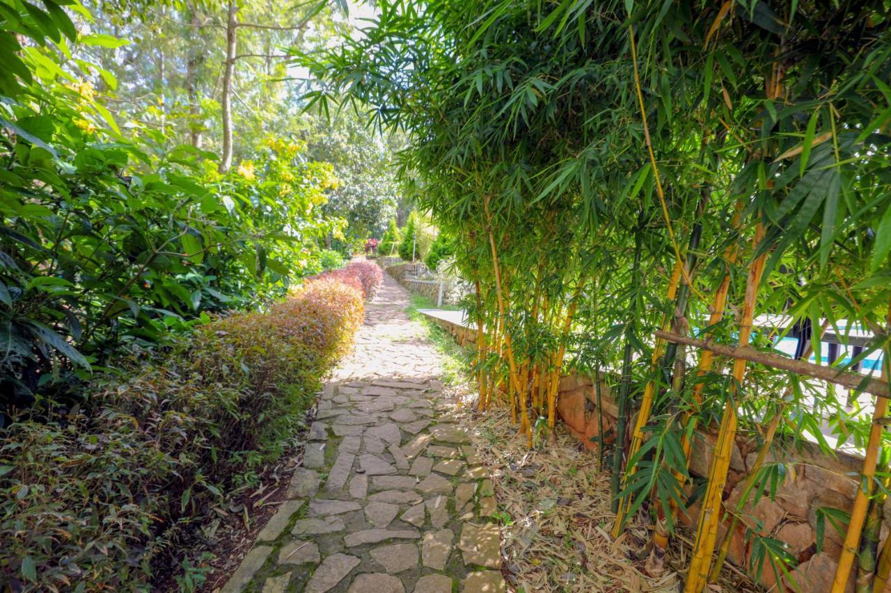 The Blossom Resort - Chikmagalūr מראה חיצוני תמונה